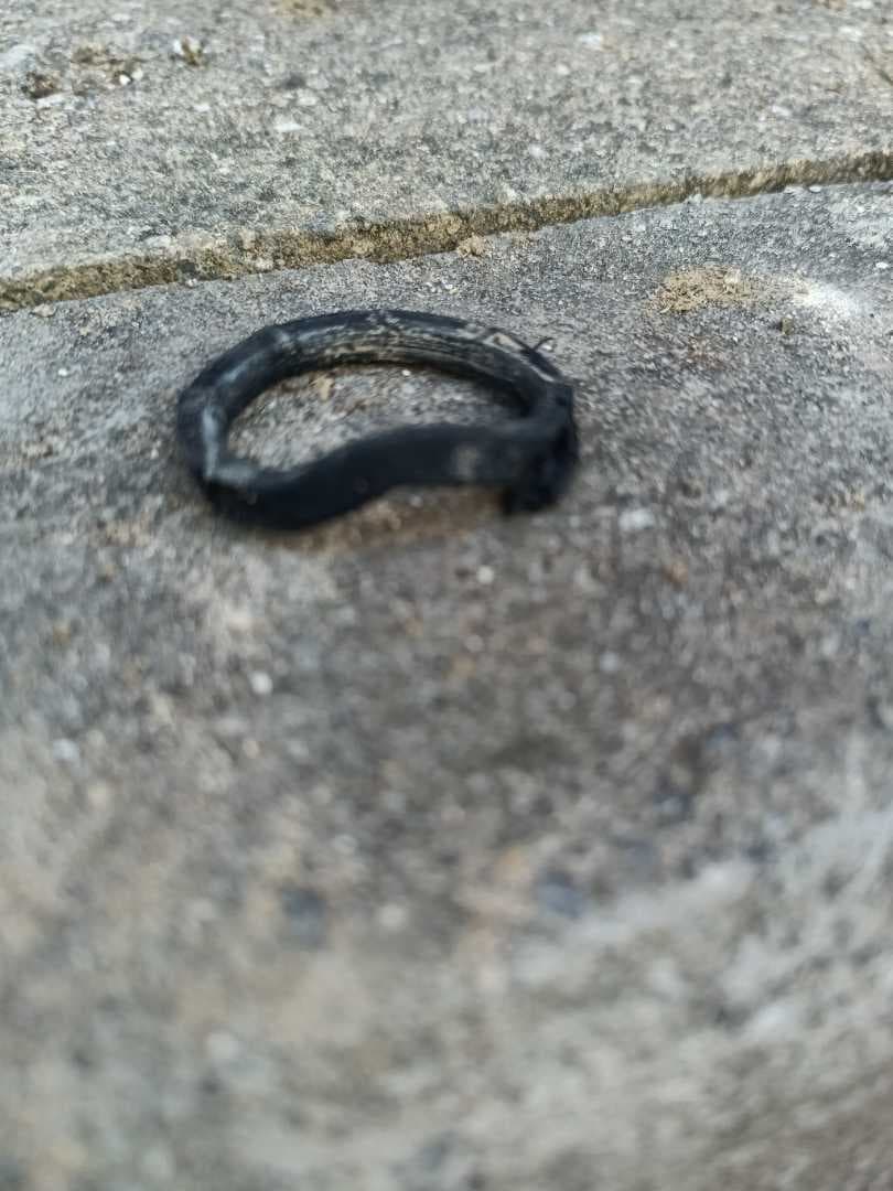A distorted black rubber gasket resting on a paving slab